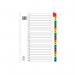 Assorted A4 1-20 Mylar Index WX01521 WX01521