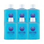 Antibacterial Soap 250ml (Pack Of 6) 0604002 WX07212