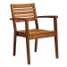 MORE Arm Chair Robinia Wood