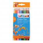Derwent Lakeland Colourthin Colouring Pencils Hexagonal Barrel Hard-wearing Assorted (Pack of 12) 0700077