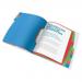 Esselte VIVIDA Divider Book 12 Part Translucent Multicolour A4